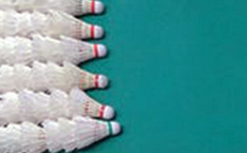 ѧ����ë�����ĳ���[15ƪ]