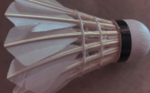 ѧ����ë������[��ѡ15ƪ]