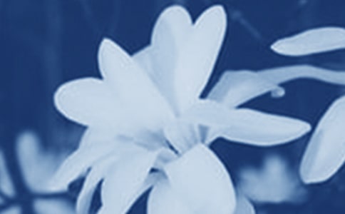 ����������ͨ��(15ƪ)