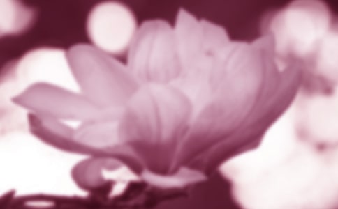 ����������(ʵ��)