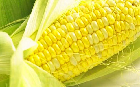 2023���������׵ľ���18��