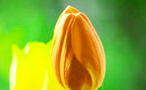 �ҵ�����������