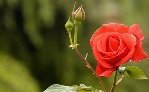 �Ұ��¼�����