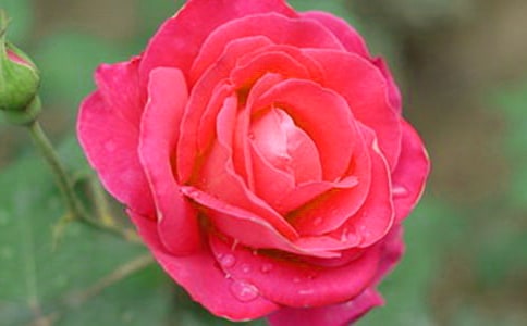 �յ����¼��������Ｏ��