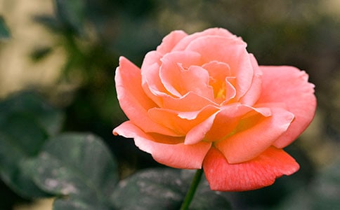 �����¼����ľ���45��