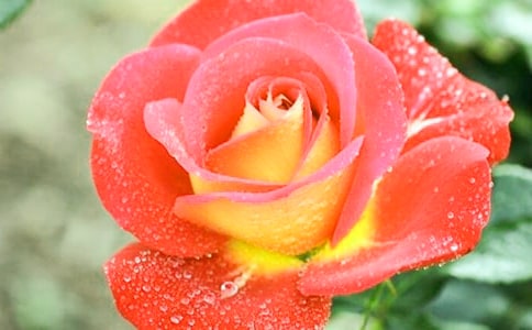 ��д�¼�������������