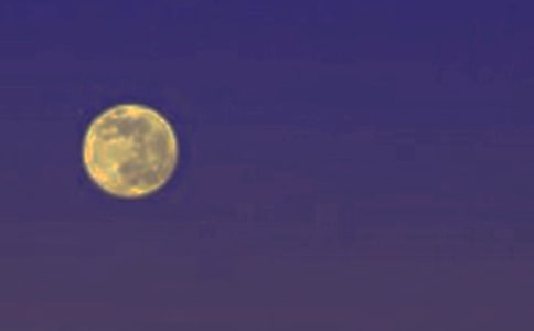 (��)����һ����Բʱ����14ƪ