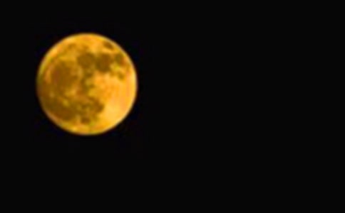 ��Բ֮ҹ����