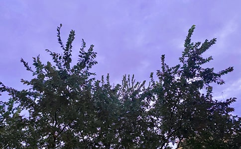 2023年简单的动人的早安心语语录20句