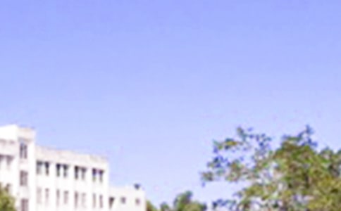 ��ů���簲΢���ʺ���29��