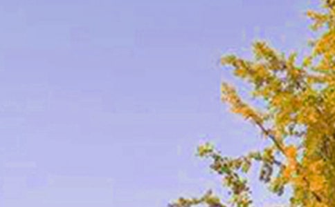 �����ʺ����Ϸ����簲QQ�ʺ��Ｏ��56��