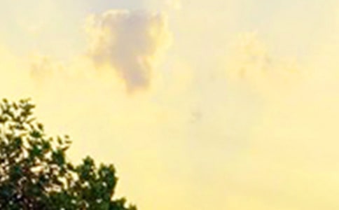 ��ů���簲΢���ʺ���29��