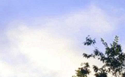 2020���̵��簲QQ�ʺ���ժ¼44��