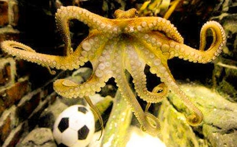 ���������С�����๤�̰�