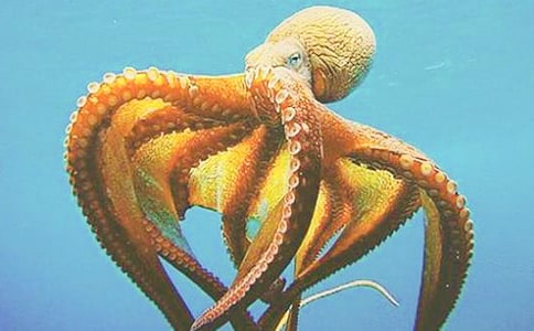 �յ������������