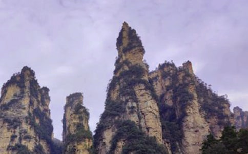 ���żҽ�����ͨ��(15ƪ)