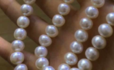 ������ɳ������