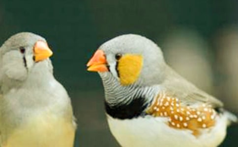 �������񡷽�ѧ��ƣ���ѡ19ƪ��