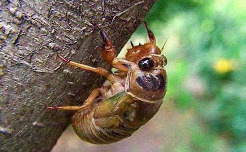 ץ֪�����ģ�ͨ��20ƪ��