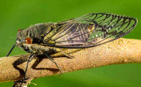 ֪��ѧ�����ģ���ѡ��