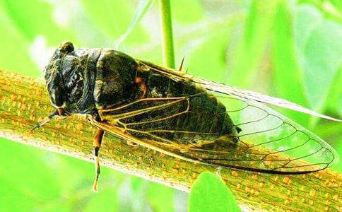 ׽֪�����ļ�����15ƪ��