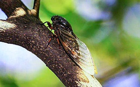 ץ֪�����ĺϼ���15ƪ��