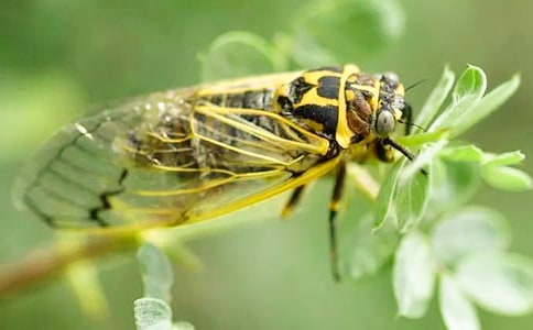 ׽֪������14ƪ[��ѡ]