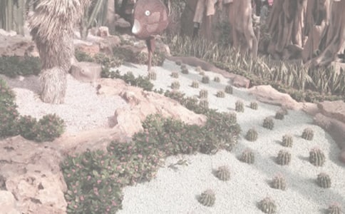 �ι�ֲ��԰���ջ�͸���