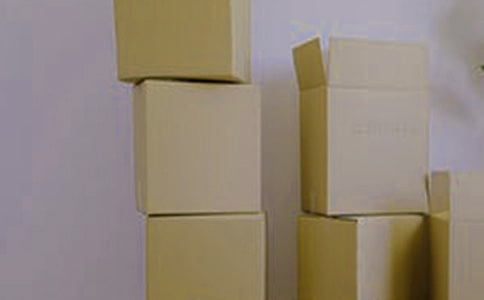 ֽ��С������������