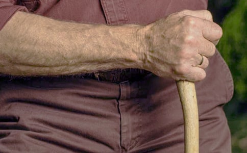 �����꼶��ĩѧ����������