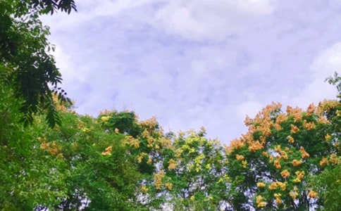 ��д��������ľ���20��