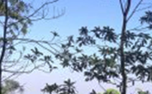 �����ʺõ��İ�����ѡ145�䣩