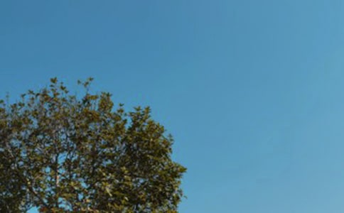 ������İ�