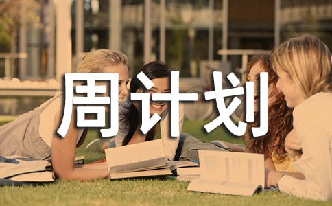 ʵ�õ��ܼƻ���ƪ