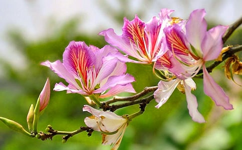 ʮһ�µ��Ͼ���ʫ��