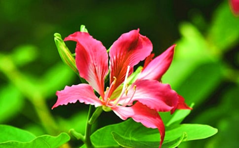 �����Ͼ�����ʱɢ��