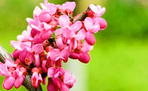 �۲��Ͼ�������