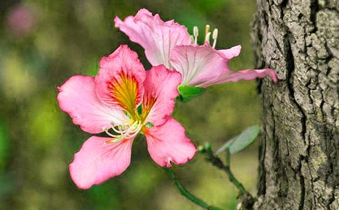 ������Ͼ�������