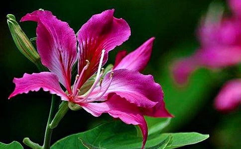 д�Ͼ��������ķ���