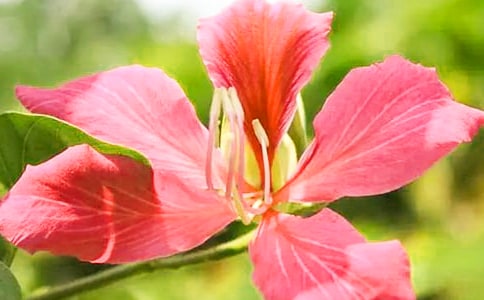 �Ͼ������������������