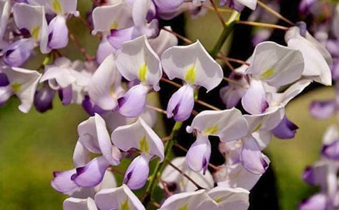 ��д���ٻ���������