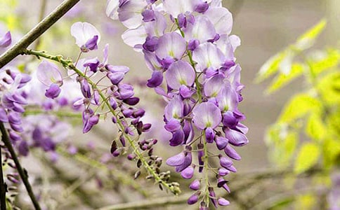 [����]���ٻ�������