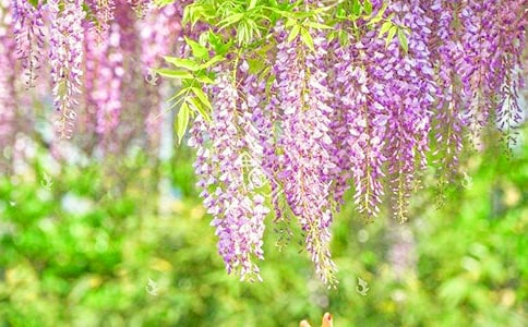 ���ٻ����ŵ�Ψ�������İ�190��