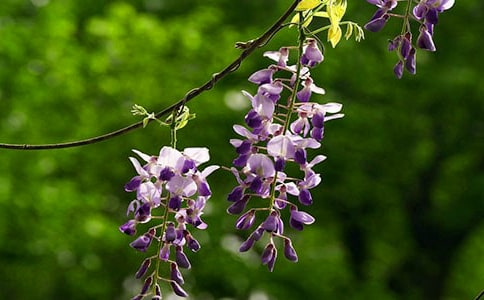 ��д���ٻ���ʫ