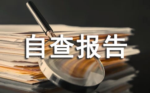 师风师德自查报告
