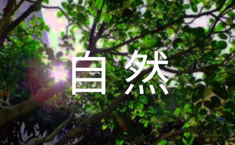 描写大自然的优美语句