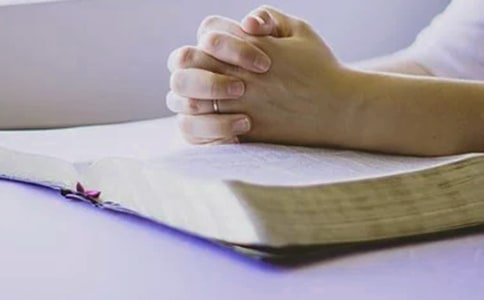 ѧԱ�����ܽ�