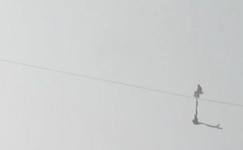 �����ˮ�߸�˿ʵ������