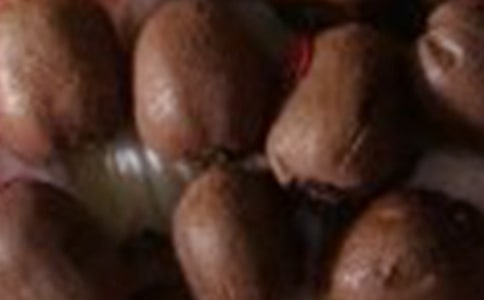 ⨺������ıر�[14ƪ]