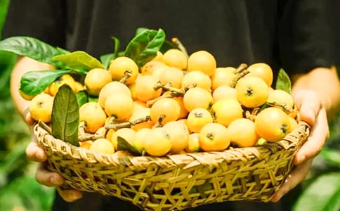 �ܽ����˻�������